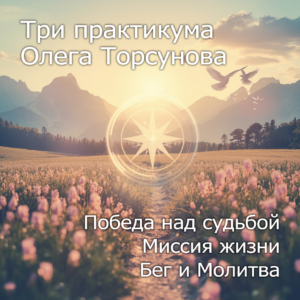 Три практикума Олега Торсунова — путь к целостности